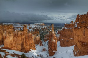 COLOR AFTER THE STORM